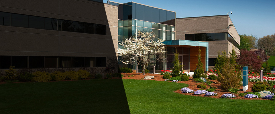 Mitchell Landscapers